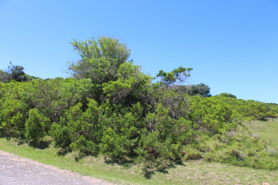 0 Bedroom Property for Sale in West Bank Eastern Cape